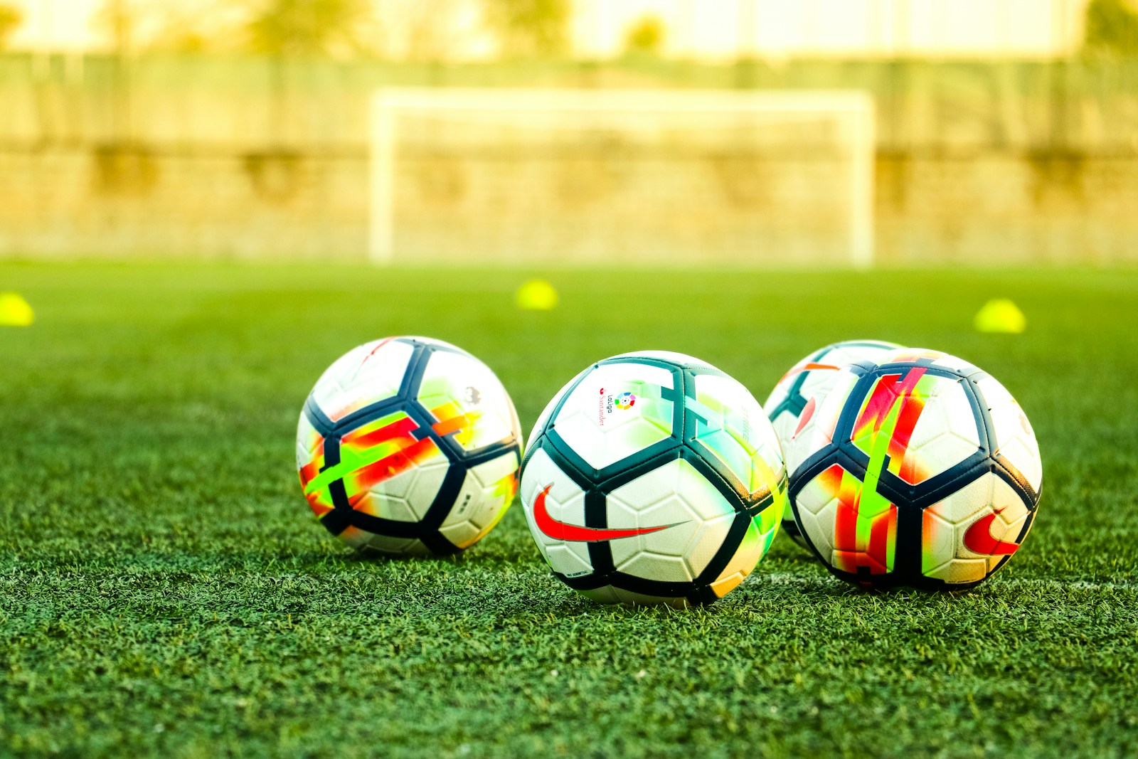 LeagueNest youth sports platform